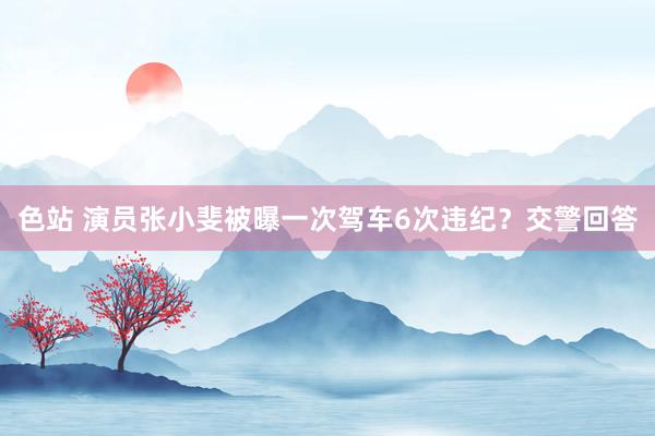 色站 演员张小斐被曝一次驾车6次违纪？交警回答