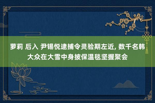 萝莉 后入 尹锡悦逮捕令灵验期左近, 数千名韩大众在大雪中身披保温毯坚握聚会