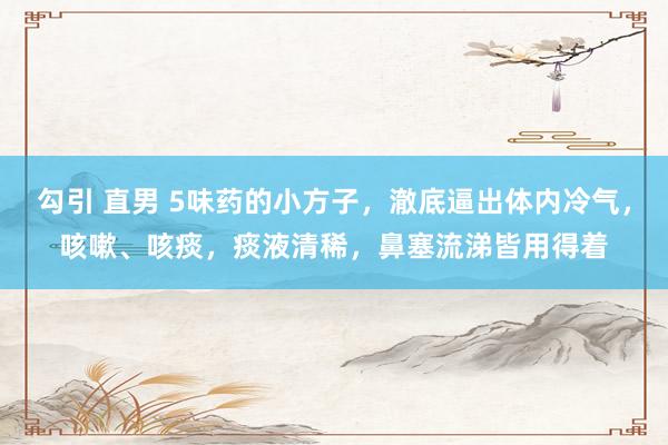 勾引 直男 5味药的小方子，澈底逼出体内冷气，咳嗽、咳痰，痰液清稀，鼻塞流涕皆用得着