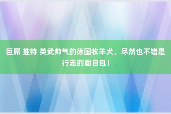 巨屌 推特 英武帅气的德国牧羊犬，尽然也不错是行走的面目包！