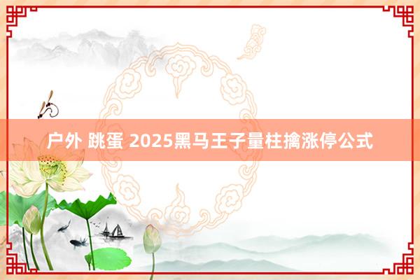 户外 跳蛋 2025黑马王子量柱擒涨停公式