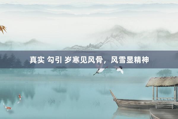 真实 勾引 岁寒见风骨，风雪显精神