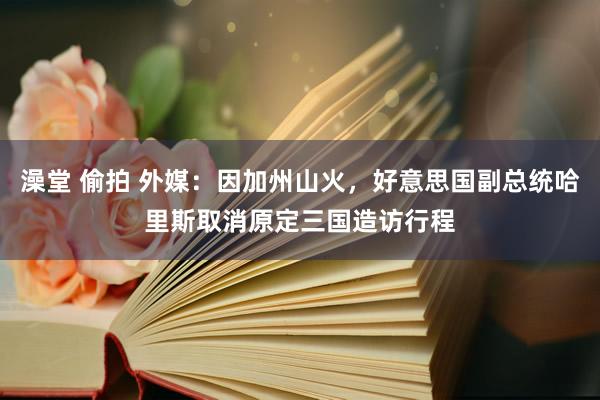 澡堂 偷拍 外媒：因加州山火，好意思国副总统哈里斯取消原定三国造访行程