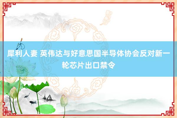 犀利人妻 英伟达与好意思国半导体协会反对新一轮芯片出口禁令
