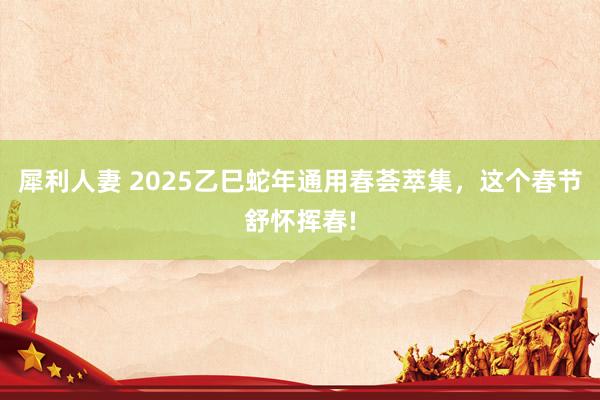 犀利人妻 2025乙巳蛇年通用春荟萃集，这个春节舒怀挥春!