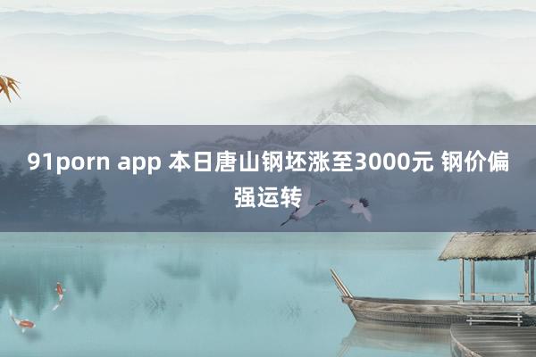 91porn app 本日唐山钢坯涨至3000元 钢价偏强运转