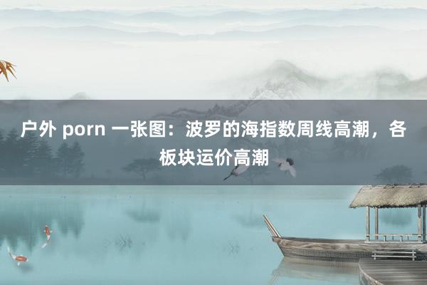 户外 porn 一张图：波罗的海指数周线高潮，各板块运价高潮