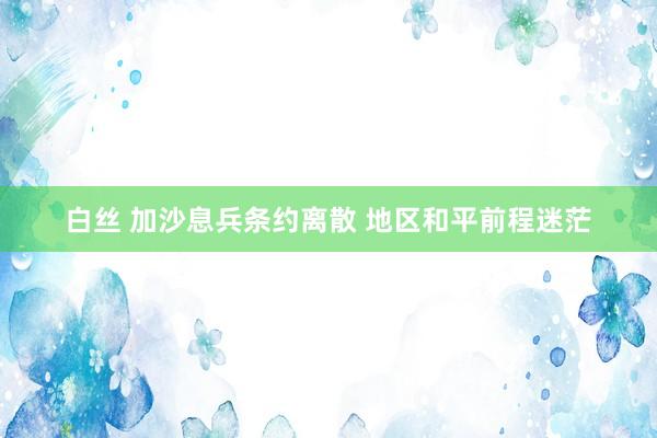 白丝 加沙息兵条约离散 地区和平前程迷茫