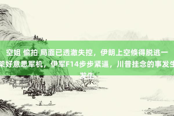 空姐 偷拍 局面已透澈失控，伊朗上空倏得脱逃一架好意思军机，伊军F14步步紧逼，川普挂念的事发生