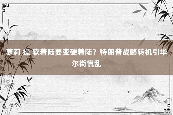 萝莉 操 软着陆要变硬着陆？特朗普战略转机引华尔街慌乱