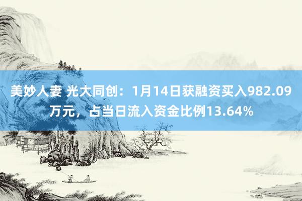 美妙人妻 光大同创：1月14日获融资买入982.09万元，占当日流入资金比例13.64%