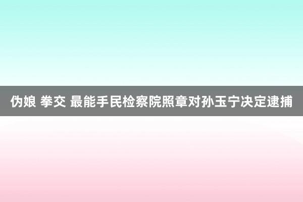 伪娘 拳交 最能手民检察院照章对孙玉宁决定逮捕