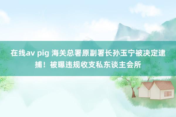 在线av pig 海关总署原副署长孙玉宁被决定逮捕！被曝违规收支私东谈主会所