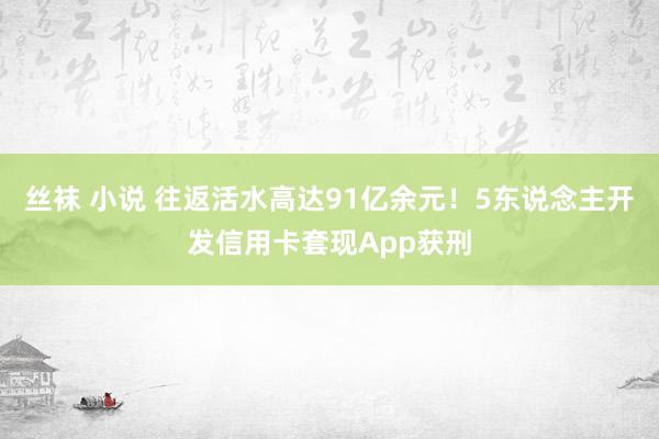 丝袜 小说 往返活水高达91亿余元！5东说念主开发信用卡套现App获刑