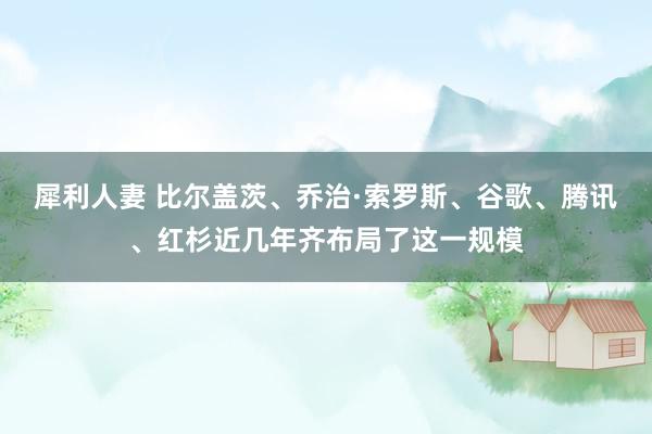犀利人妻 比尔盖茨、乔治·索罗斯、谷歌、腾讯、红杉近几年齐布局了这一规模