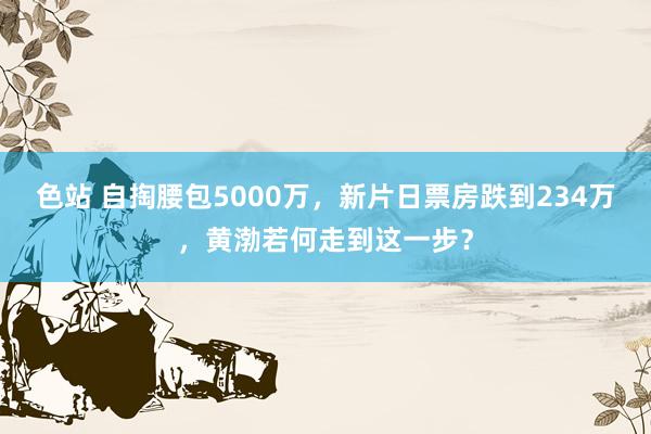 色站 自掏腰包5000万，新片日票房跌到234万，黄渤若何走到这一步？