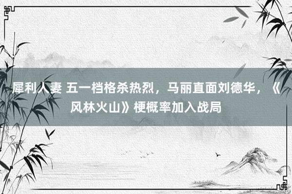 犀利人妻 五一档格杀热烈，马丽直面刘德华，《风林火山》梗概率加入战局
