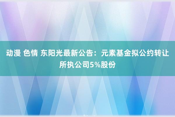 动漫 色情 东阳光最新公告：元素基金拟公约转让所执公司5%股份