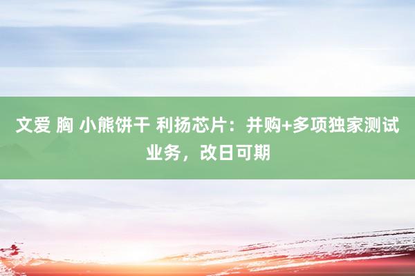 文爱 胸 小熊饼干 利扬芯片：并购+多项独家测试业务，改日可期