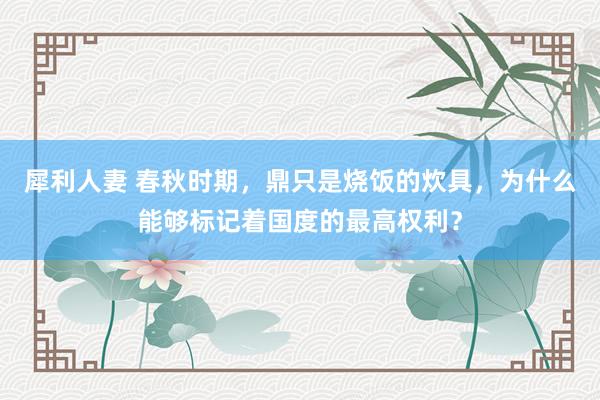犀利人妻 春秋时期，鼎只是烧饭的炊具，为什么能够标记着国度的最高权利？