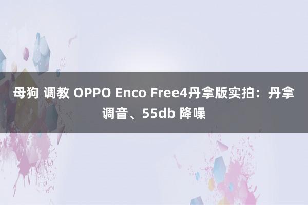 母狗 调教 OPPO Enco Free4丹拿版实拍：丹拿调音、55db 降噪