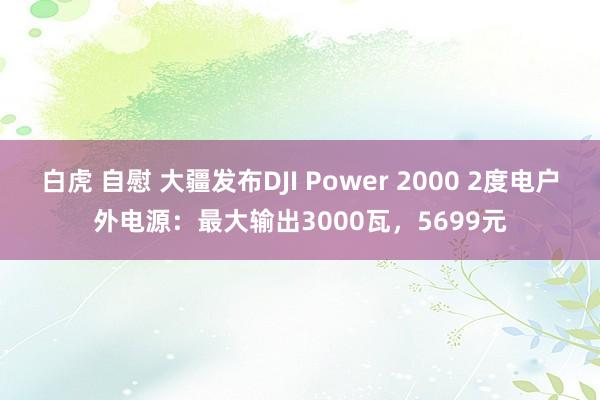白虎 自慰 大疆发布DJI Power 2000 2度电户外电源：最大输出3000瓦，5699元