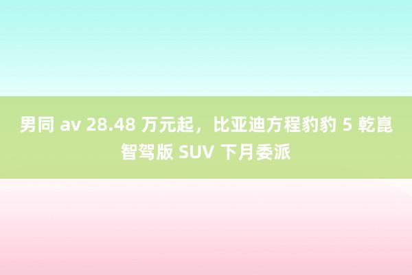 男同 av 28.48 万元起，比亚迪方程豹豹 5 乾崑智驾版 SUV 下月委派