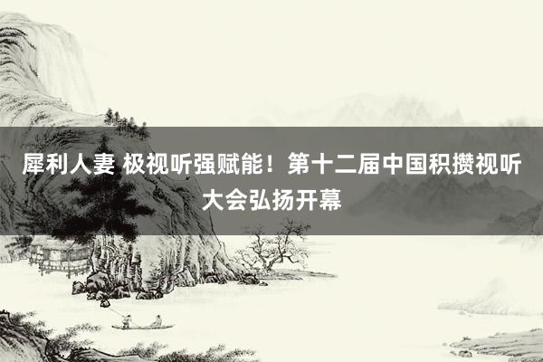 犀利人妻 极视听强赋能！第十二届中国积攒视听大会弘扬开幕