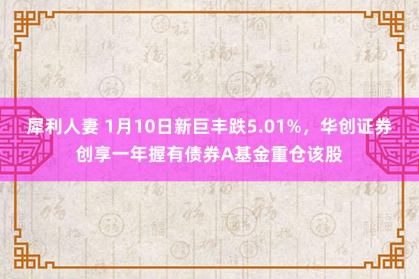 犀利人妻 1月10日新巨丰跌5.01%，华创证券创享一年握有债券A基金重仓该股