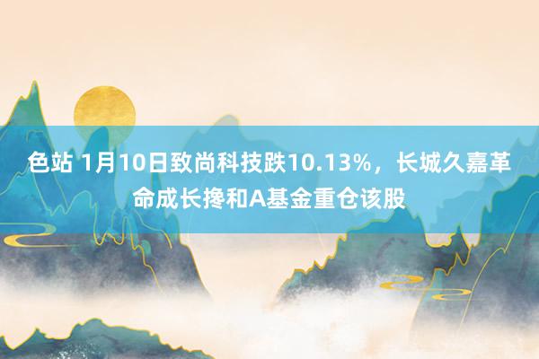 色站 1月10日致尚科技跌10.13%，长城久嘉革命成长搀和A基金重仓该股