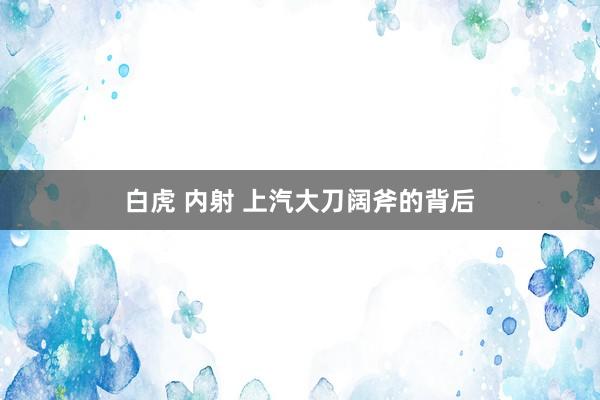 白虎 内射 上汽大刀阔斧的背后