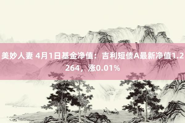 美妙人妻 4月1日基金净值：吉利短债A最新净值1.2264，涨0.01%