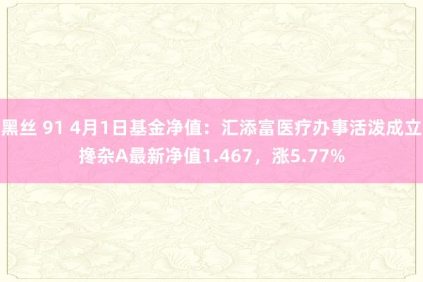 黑丝 91 4月1日基金净值：汇添富医疗办事活泼成立搀杂A最新净值1.467，涨5.77%