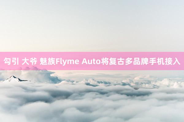 勾引 大爷 魅族Flyme Auto将复古多品牌手机接入