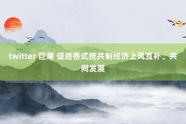 twitter 巨屌 促进各式统共制经济上风互补、共同发展