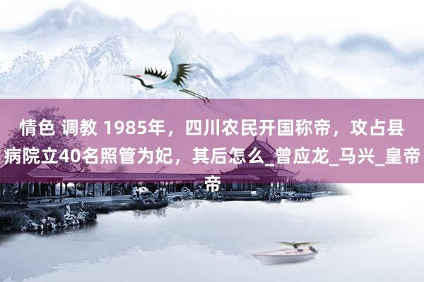 情色 调教 1985年，四川农民开国称帝，攻占县病院立40名照管为妃，其后怎么_曾应龙_马兴_皇帝