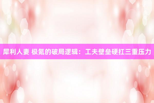犀利人妻 极氪的破局逻辑：工夫壁垒硬扛三重压力