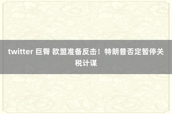 twitter 巨臀 欧盟准备反击！特朗普否定暂停关税计谋