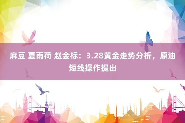 麻豆 夏雨荷 赵金标：3.28黄金走势分析，原油短线操作提出
