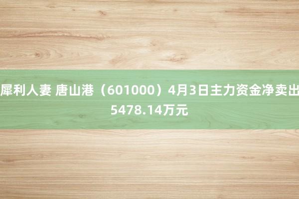 犀利人妻 唐山港（601000）4月3日主力资金净卖出5478.14万元