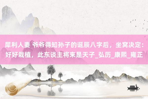 犀利人妻 爷爷得知孙子的诞辰八字后，坐窝决定：好好栽植，此东谈主将来是天子_弘历_康熙_雍正