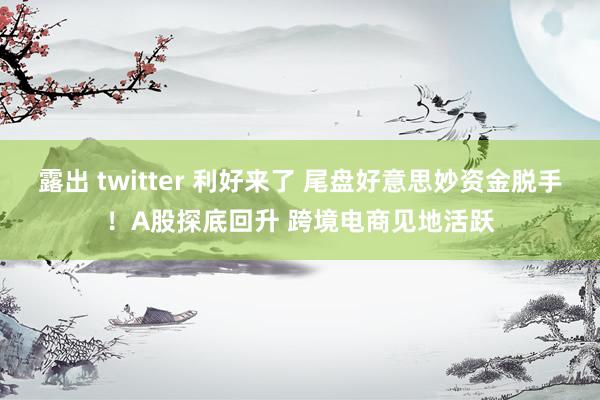 露出 twitter 利好来了 尾盘好意思妙资金脱手！A股探底回升 跨境电商见地活跃
