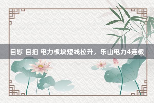自慰 自拍 电力板块短线拉升，乐山电力4连板