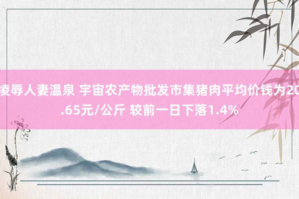 凌辱人妻温泉 宇宙农产物批发市集猪肉平均价钱为20.65元/公斤 较前一日下落1.4%
