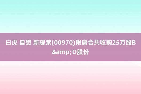 白虎 自慰 新耀莱(00970)附庸合共收购25万股B&O股份
