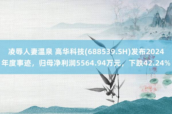 凌辱人妻温泉 高华科技(688539.SH)发布2024年度事迹，归母净利润5564.94万元，下跌42.24%
