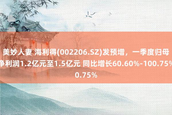 美妙人妻 海利得(002206.SZ)发预增，一季度归母净利润1.2亿元至1.5亿元 同比增长60.60%-100.75%