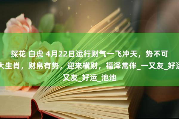 探花 白虎 4月22日运行财气一飞冲天，势不可挡的4大生肖，财帛有势，迎来横财，福泽常伴_一又友_好运_池池