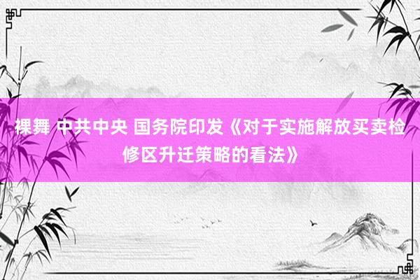 裸舞 中共中央 国务院印发《对于实施解放买卖检修区升迁策略的看法》