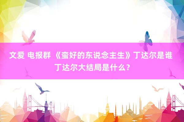 文爱 电报群 《蛮好的东说念主生》丁达尔是谁 丁达尔大结局是什么？